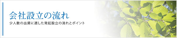 会社設立の流れとポイント：少人数の出資に適した発起設立の流れとポイント