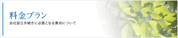 料金プラン：会社設立手続きに必要となる費用について